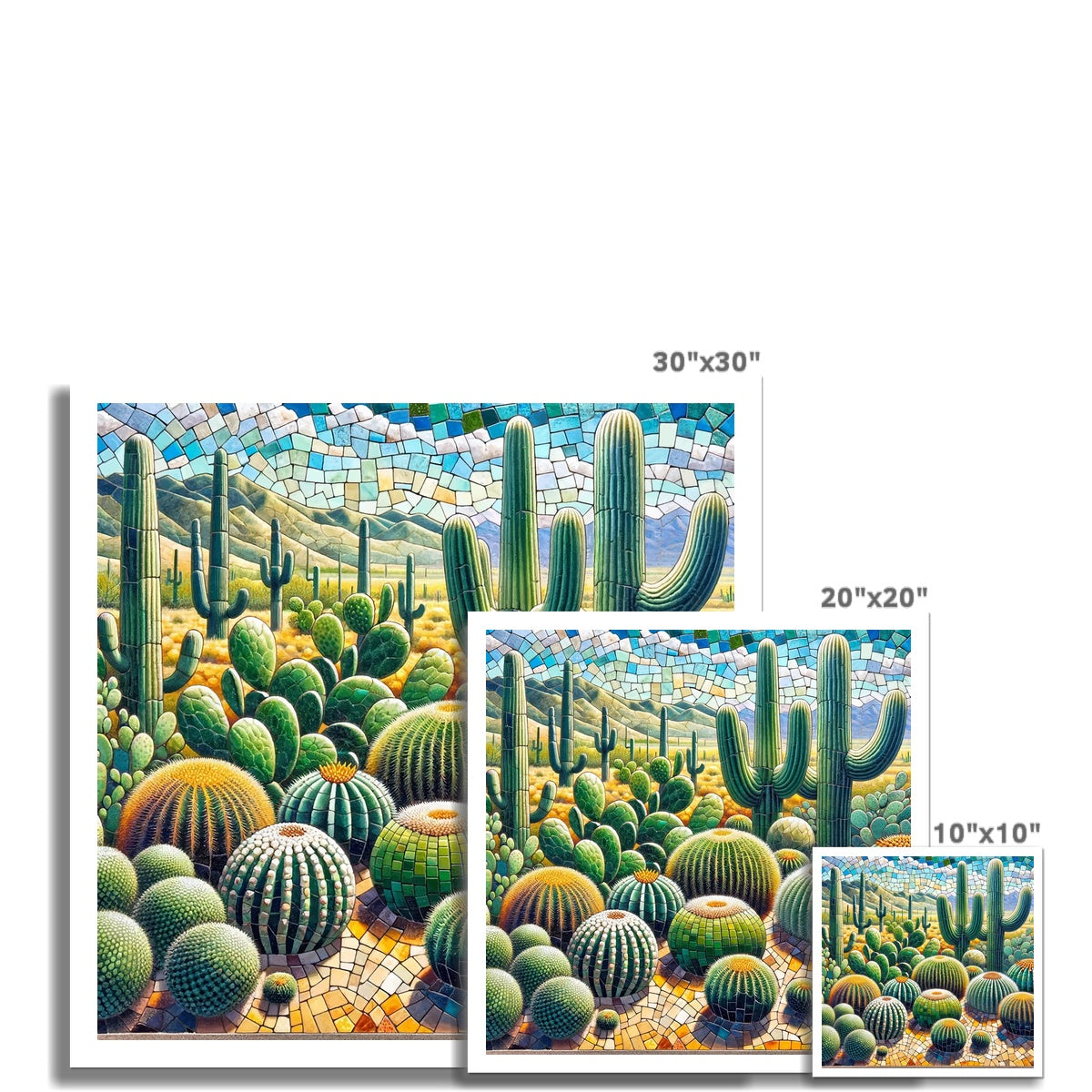 Cacti Mosaic Hahnemühle German Etching Print