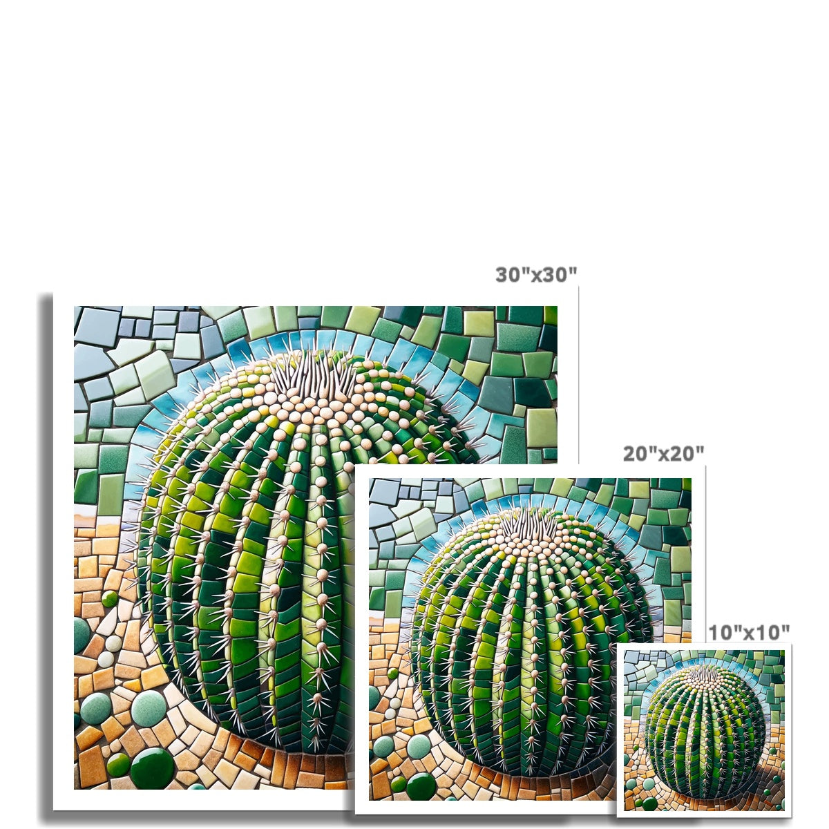 Barrel Cactus Mosaic Hahnemühle German Etching Print